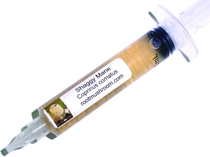 Root Mushroom Farm- Mushroom Liquid Cultures/Shaggy Mane(Coprinus comatus)