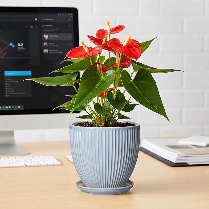 Ceramic Flower Pots, 6 Inch Plant Pot for Indoor Plants, Modern Ceramic Planter with Drainage Hole and Saucer, Small Orchid Pots, Home Decor, Gifts for Plant Lovers Women Men, Light Blue