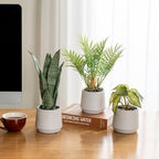 MyGift Modern Assorted Artificial Plants Potted in White Textured Planter Pots, 3 Piece Combo Set Tabletop Greenery House Plant Includes Faux Mini Palm, Arrowhead Vine, and Snake Plant