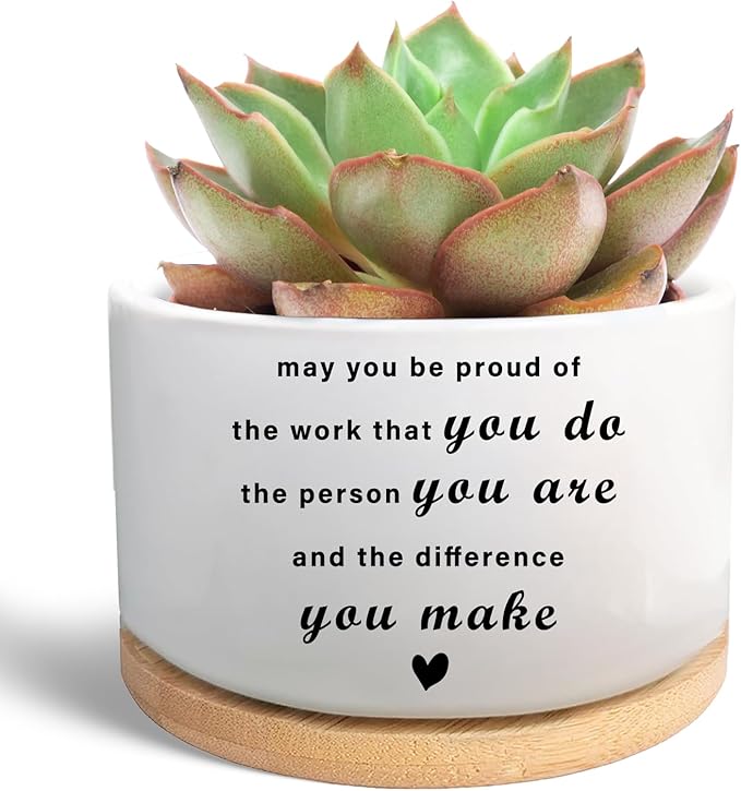 Coworker Gifts, May You Be Proud of The Work You Do, Succulent Plant Pot, Flower Cactus Planter, Employee Appreciation Farewell Gift for Coworker Colleague Work Bestie (Plants Not Included)