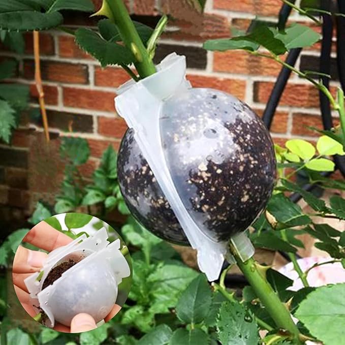 9 Pcs Air Layering Pods,Reusable Half Transparent Rapid Root Plugs Air Layering Propagation Kit Grafting Tool Plant Root Growing Box Plant Propagation Station Rooting Ball