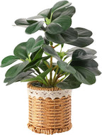 Nubry Fake Plants Artificial Potted Plants with Weaved Pot for Shelf & Table Desk | Perfect for Home Office Bathroom Farmhouse Room Coffee Table Decor 10‘’