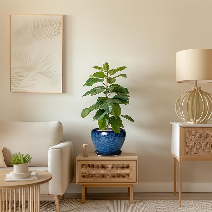8 Inch Plant Pot - Ceramic Planter for Indoor Plants Outdoor, Round Planter with Drainage Hole and Saucer, Modern Decorative Flower Pots, Home Office Room Decor, Plant Lovers Gifts, Blue