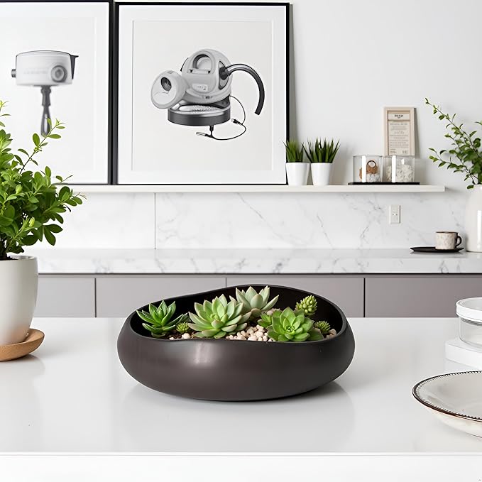 9.5'' Black Ceramic Indoor Plant Pot,Low Bowl Indoor Plant Pot with Decorative Tray, Contemporary Decorative Flower Pot for Home, Kitchen, Office & Event Décor