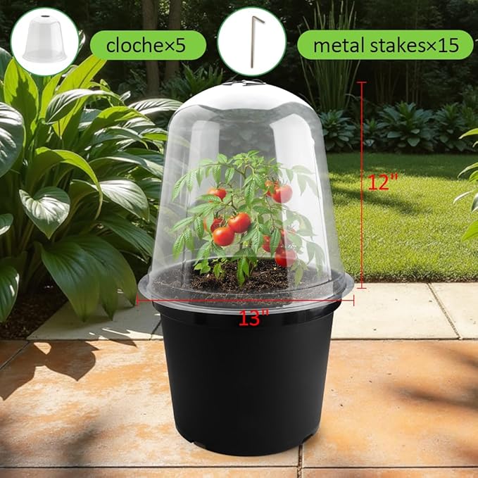 RooTrimmer 13 Inch Humidity Domes Garden Cloches for Plant Protection, Protectors from Animals, Garden Clear Plant Cover with Ventilation Holes 5 Pack