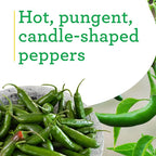 Bonnie Plants Serrano Pepper 19.3 oz. 4 Pack