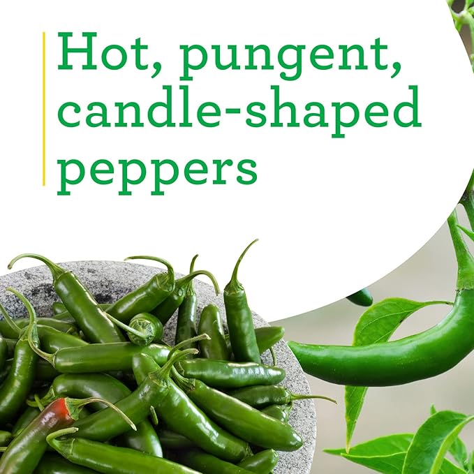 Bonnie Plants Serrano Pepper 19.3 oz. 4 Pack