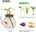 Small Betta Fish Tank Glass Fish Bowls for Betta Fish Goldfish, Aquaponic Fish Tank and Plants Cuttings Planter Terrarium Desktop Decorations Gifts