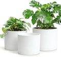 Large Plant Pots Set of 3 – 8", 9", 10" Indoor Flower Pots with Drainage Holes and Saucers, Big Planters for Monstera, Fiddle Leaf Fig, Snake Plant – 5 Colors