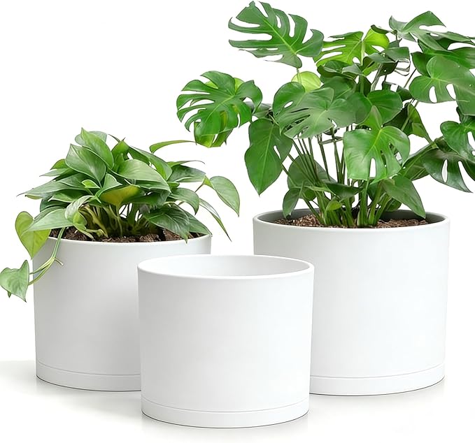 Large Plant Pots Set of 3 – 8", 9", 10" Indoor Flower Pots with Drainage Holes and Saucers, Big Planters for Monstera, Fiddle Leaf Fig, Snake Plant – 5 Colors