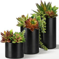 Fake Succulents Plants Artificial in Premium Ceramic Pots (3 Pack Assorted) Realistic Faux Succulents for Bathroom, Home & Office Decor