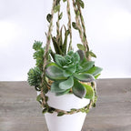 Supla 5 Pcs Assorted Artificial Succulents Plants Unpotted Small Green Cactus Echeveria Picks Fake Succulents Bulk for Succulent Garden Centerpiece Wreath Floral Arrangement Indoor Outdoor Home Décor