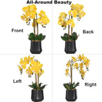 Orchids Artificial Plant in Ceramic Pot 18.5" Faux Orchid Phalaenopsis Flowers Arrangement for Home Office Table Centerpiece Indoor Decor, Yellow