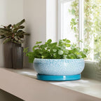 Bonsai Pots - 13 Inch Ceramic Succulent Pots with Drainage Hole and Tray, Large Succulent Planter Indoor Outdoor, Round Planter, Shallow Plant Pot, House Decor, Gifts for Plant Lover, Blue