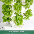 FLTRGO Indoor Hydroponic Growing System, Freestanding Planting Tower Set,Plant Vertical Hydroponics, Hydroponic Planter, for Herb Vegetable