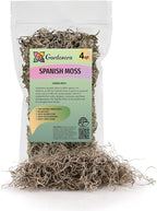Gardenera Premium Natural Spanish Moss | Natural Preserved - Great Ground Cover - Filler for Potted Plants - 4 Quart Bag