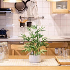 365 Blooming Decor 18 inch Tall White Potted Artificial Bamboo Plant- Luxury Artificial Bamboo Tree in White Pot for Home, Office, Kitchen, Counter Top, Indoor Decor, Money Tree, Lucky Tree.