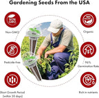 Strawberry Seed Pods for AeroGarden, Ahopegarden, iDOO Hydroponics Growing System, 350 Seeds+ Germination Including Red Cherry Tomato Golden Cherry Tomato, White Strawberry, Red Strawberry (7-Pods)