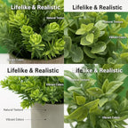 3 Pack Mini Potted Fake Plants Artificial Eucalyptus & Greenery Topiaries with 6 Butterflies,Artificial Plants for Shelf Desk Home Bathroom Farmhouse Room Coffee Table Decor