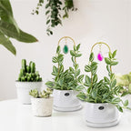 2PCS Small Gold Trellis for Climbing Plants Indoor, Mini Metal Houseplant Climber Support for Potted Plants, Boho Decorative Pot Lattice with Agate for Hoya, Pothos, Ivy, Philodendron