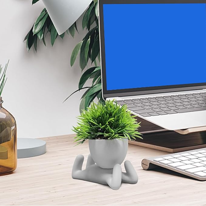 Zerzsy Faux Succulents in Cement Pots Potted Mini Fake Plants for Desk Decoration, Kitchen Shelf Decor, Office Decor for Women, Bathroom Shelf Plant Decor - Set of 1