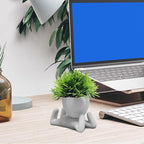 Zerzsy Faux Succulents in Cement Pots Potted Mini Fake Plants for Desk Decoration, Kitchen Shelf Decor, Office Decor for Women, Bathroom Shelf Plant Decor - Set of 1