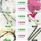 CXGS Orchids Artificial Flowers Realistic Fake Flowers in Ceramic Vase 20" White Faux Plants Indoor Lifelike Soft PU Phalaenopsis for Centerpiece Hotel Home Decor