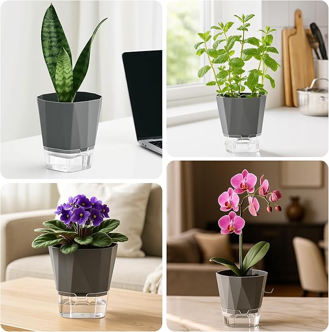 12 Pack Self Watering Pots for Indoor Plants, 5 Inches Self Watering Planters African Violet Self Watering Clear Pots for Plants Herb Orchid Flower Houseplant, Dark Grey