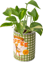 ban.do Novelty Ceramic Planter with Drainage Hole, Decorative Plant Pot, Planters for Indoor Plants, Cute Decor, Unique Planter, Coffee Can