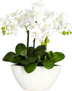 Nearly Natural Phalaenopsis Silk Flower Arrangement