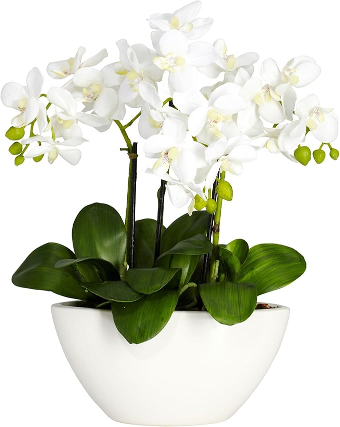 Nearly Natural Phalaenopsis Silk Flower Arrangement