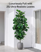 Fiddle Leaf Fig Tree 7ft Tall Artificial Tree in Plastic Pot Fake Ficus Lyrata Plants with 184 Decorative Fiddle Leaves Faux Fig Trees for Home Office Living Room Decor Indoor Outdoor