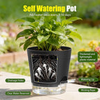 Plant Pots 4/5/5.5/6/6.5/7 Inch Self Watering Pots, 6 Pack Plastic Planters with Drainage Holes and Clear Saucers,Plastic Flower Pots,Nursery Planting Pot for Indoor Out Door Plants(Black)