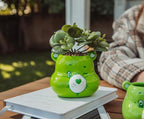 Silver Buffalo Care Bears Good Luck Bear 5-Inch Sculpted Ceramic Mini Planter with Artificial Succulent | Cute Flower Pot, Faux Indoor Plants