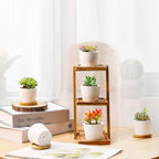 T4U 2.5 Inch Mini White Succulent Planter Pots with Bamboo Tray Round Set of 6, Tiny Ceramic Succulent Air Plant Flower Pots Cactus Faux Plants Containers, Gifts for Plant Lover, Home and Office Decor