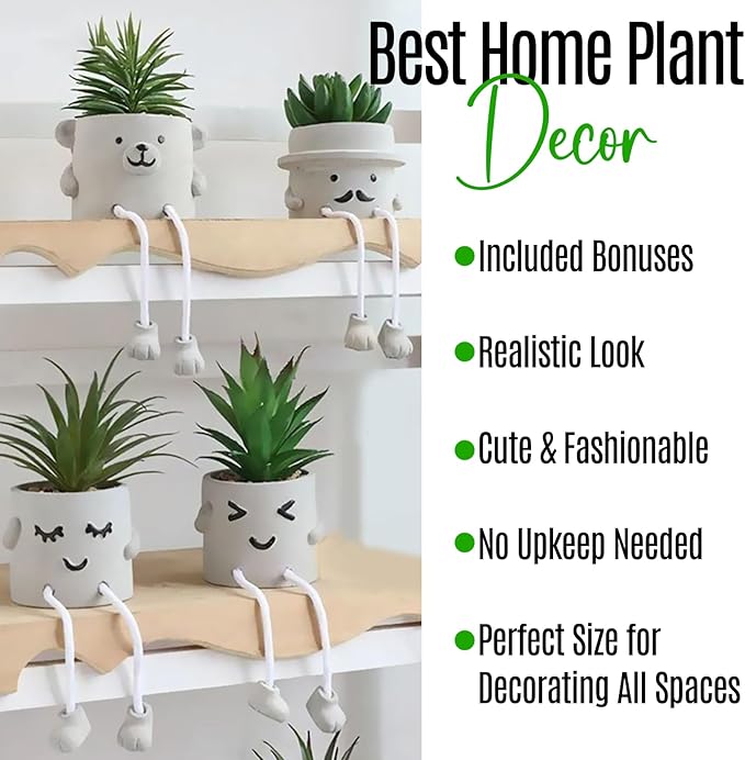 Zen Home Cute Fake Plants for Shelf - Mini Succulent Plants - Small Artificial Plants for Shelf Decor - Desk Plants for Office - Small Faux Plant - Cute Fake Plants for Home, Office, Class (Shy Kid)