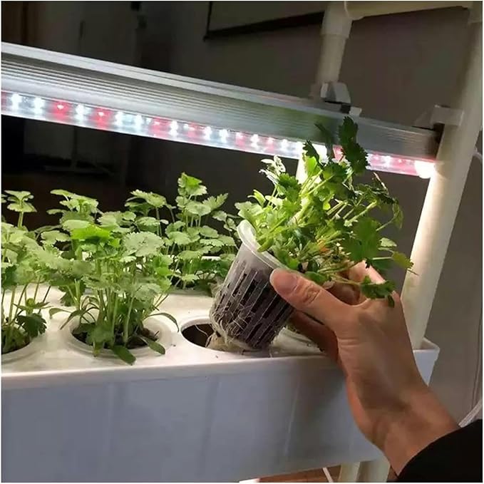 FLTRGO Hydroponic Tower Growing Sytem Hydroponics Growing System Indoor Smart Herb Vertical Garden Kit Automatic Led Grow Lights Planter for Home Kitchen Easy to Install and Operate