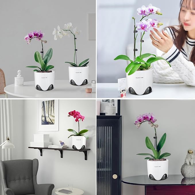 6 inch Orchid Pots with Holes for Repotting with Excellent Airflow, Set of 2, Double Layer Plastic Imitate Ceramic Orchid Planter, Clear Orchid Pot Match Decorative Orchid Container