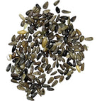 Seed Needs Sunflower Seeds for Planting Wild Sunflowers - Heirloom & Open Pollinated Flower Seed to Plant an Outdoor Wildflower Butterfly Garden (1 Pack)