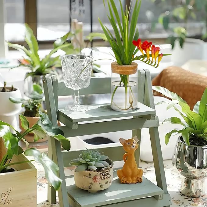 Separated Desktop Glass Flower Vases with Wooden Saucers - Ideal Plants Propagation Stations for Living Room, Bedroom Decoration,Home Decor (9)