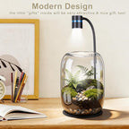 Glass Plant Terrarium with LED Grow Light(H:8.46" D:5.9"), Desktop Terrarium for Venus Fly Trap, Moss & Succulents, Borosilicate Indoor Planter for Home Office Decor