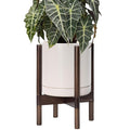 D'vine Dev Ceramic Planter with Walnut Color Stand - 10 Inch Modern Round Flower Pot with Wood Planter Holder, Oatmeal, 55-B-X-8