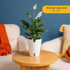 Costa Farms Peace Lily Live Plant in Decorative Pot, Air Purifying Flowering Indoor Houseplant, Perfect for Home, Room, or Office Decor, Great House Warming or Birthday Gift, 14-24 Inches Tall