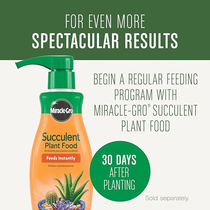 Miracle-Gro Succulent Potting Mix - Potting Soil Mix for Indoor Succulents, Aloe Vera and More, Made with Miracle-Gro Plant Food, 4 qt.