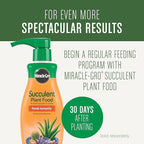 Miracle-Gro Succulent Potting Mix - Potting Soil Mix for Indoor Succulents, Aloe Vera and More, Made with Miracle-Gro Plant Food, 4 qt.