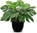 Hollyone Artificial Monstera Plant Faux Monstera Plant Potted Fake Tropical Plants in Black Pot for Indoor Outdoor Home Desk Office Garden Farmhouse Decoration