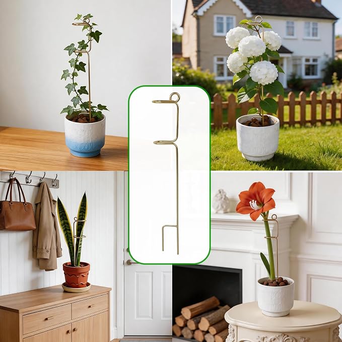 Gold Flower Stakes and Supports - Stylish Indoor Plant Trellis for Pothos, Amaryllis, Monstera, Fishbone Cactus, and Orchids | Perfect Home Garden Decor