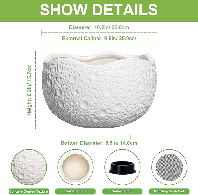 10 Inch Plant Pot - Ceramic Planter for Indoor Outdoor, Round Bonsai Pots, Decorative Flower Pots with Drainage Hole, Modern Unique Planters, House Decor, Home Gifts, White