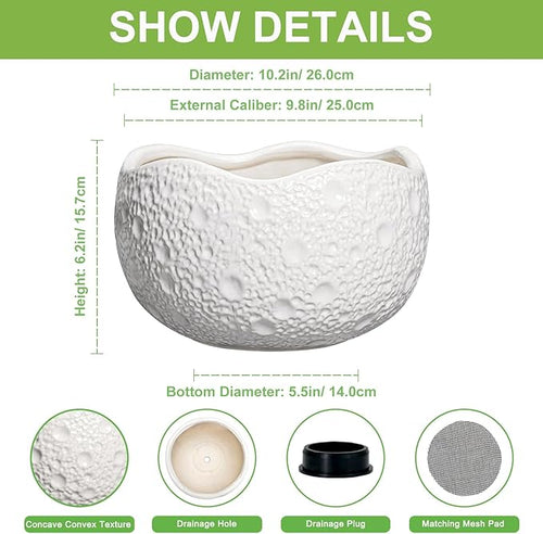 10 Inch Plant Pot - Ceramic Planter for Indoor Outdoor, Round Bonsai Pots, Decorative Flower Pots with Drainage Hole, Modern Unique Planters, House Decor, Home Gifts, White