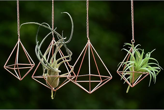 Hanging Air Plants Holders Geometric Airplant Hangers Rose Gold Tillandsia Holder Metal Pink Himmeli Metal Airfens Planter for Home Décor 4Pcs …